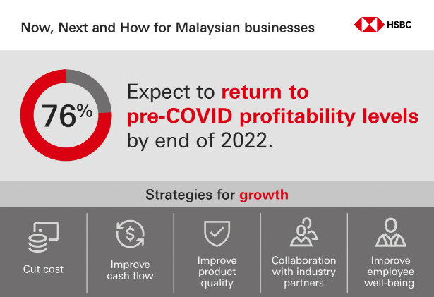 HSBC insight report regarding profitability levels during the Covid period