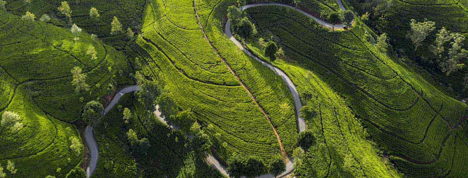 Contact us Contact us