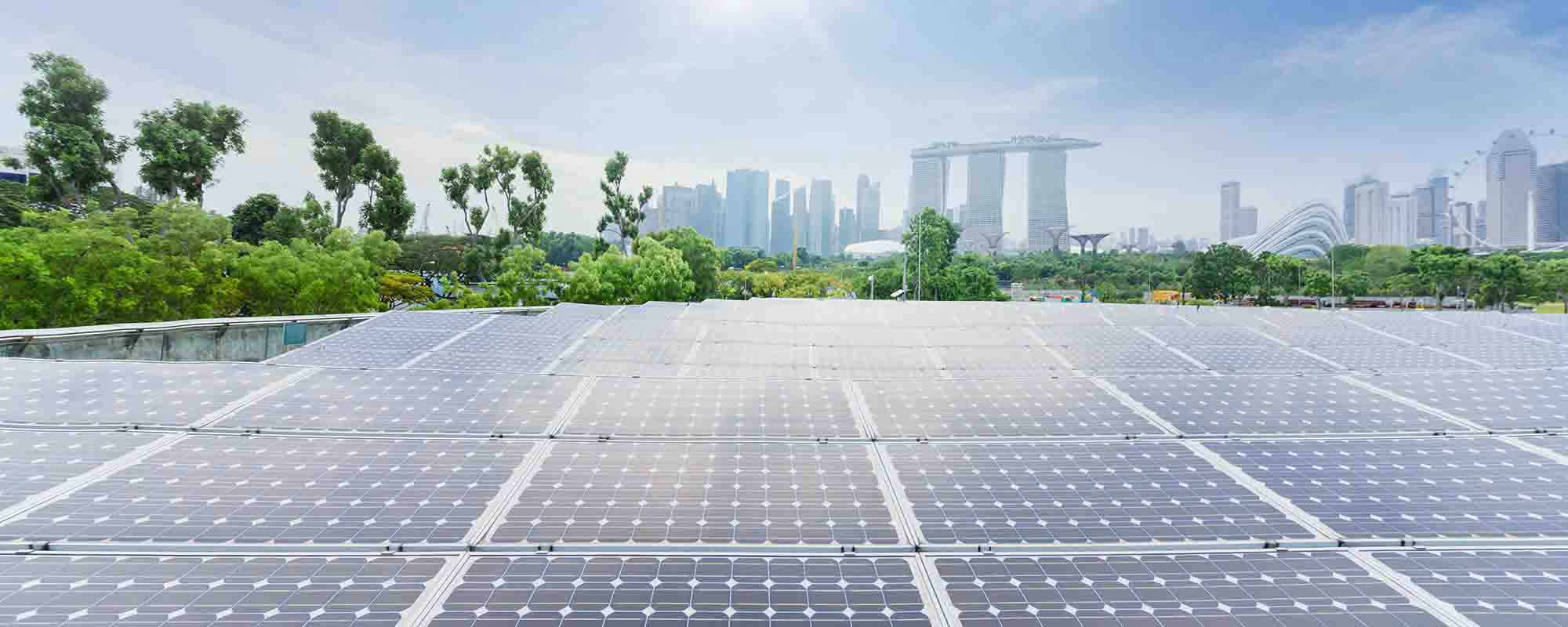 Business growth strategies - Growing my Business: Green Shoots: The Dawn of a New Sustainable Investment Age in ASEAN Business growth strategies - Growing my Business: Green Shoots: The Dawn of a New Sustainable Investment Age in ASEAN
