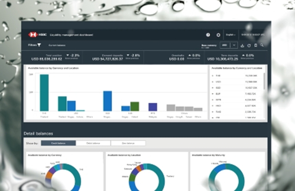 Manage overall liquidity and cash positions Manage overall liquidity and cash positions