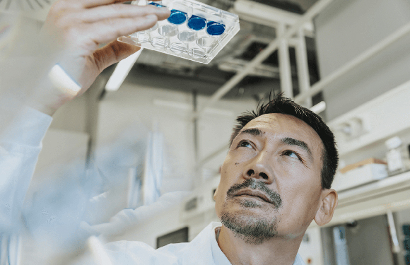 HSBC Commercial Cards Programme HSBC Commercial Cards Programme