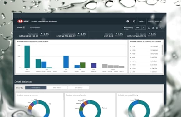 Manage overall liquidity and cash positions Manage overall liquidity and cash positions
